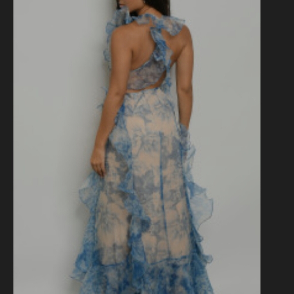 Beautiful Feminin Ruffle Dress Chiffon - Picture 2 of 2